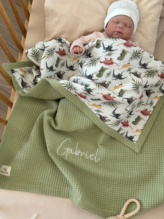 Baby Blanket - Dinosaurs