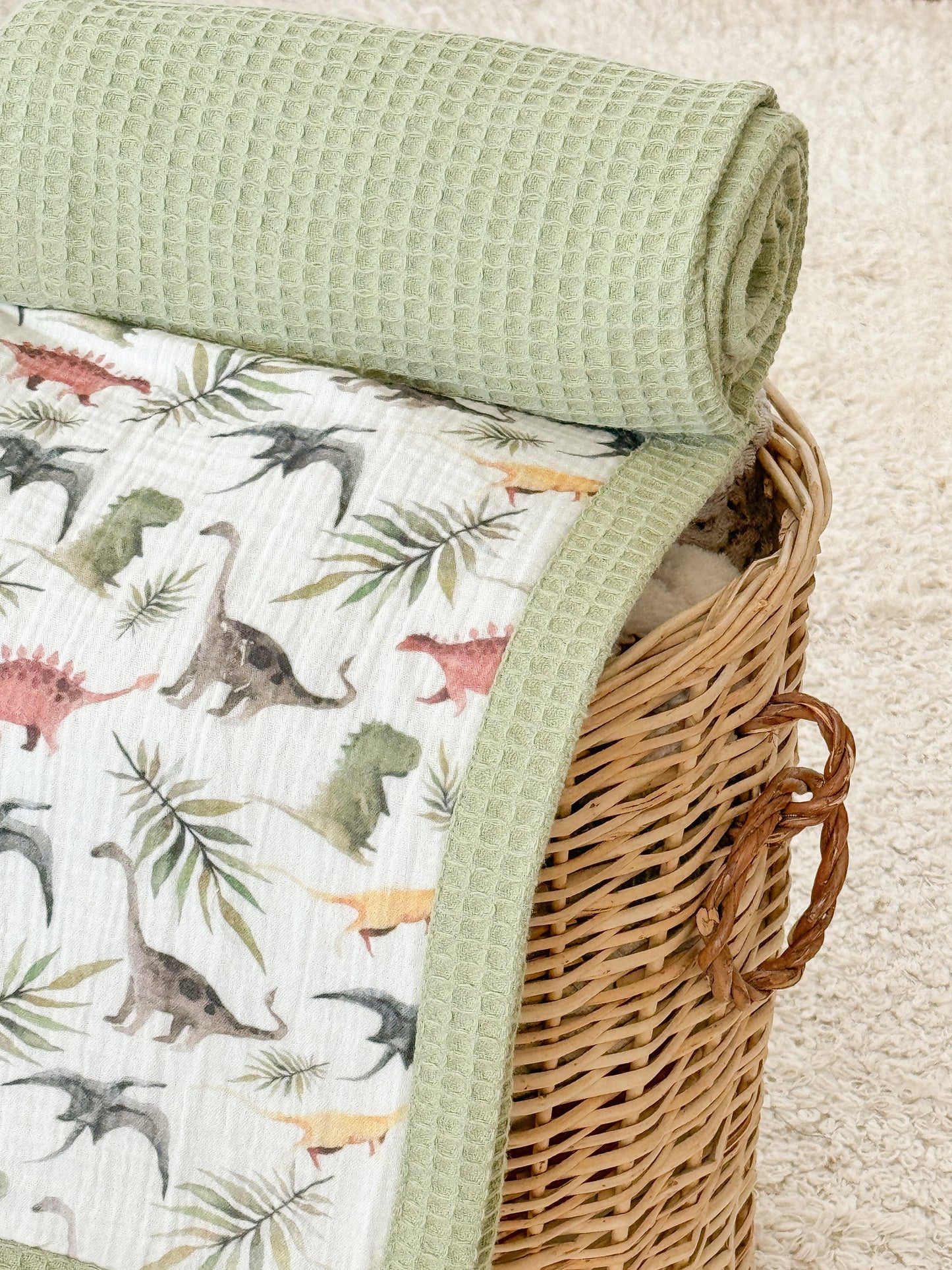 Baby Blanket - Dinosaurs