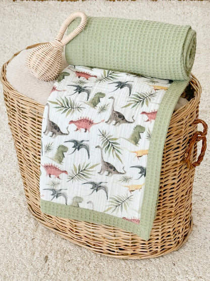 Baby Blanket - Dinosaurs